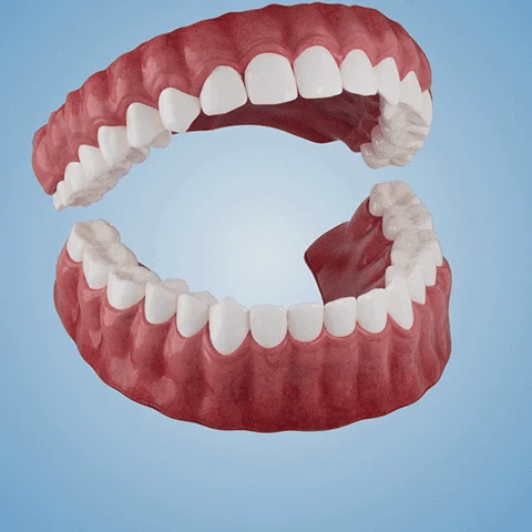 NESLEMY™- Advanced Customized Full Denture Set