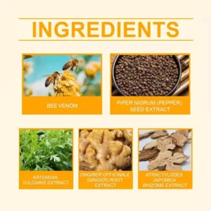 Slimoly™ Bee Poison Foot Patches (Set of 10)