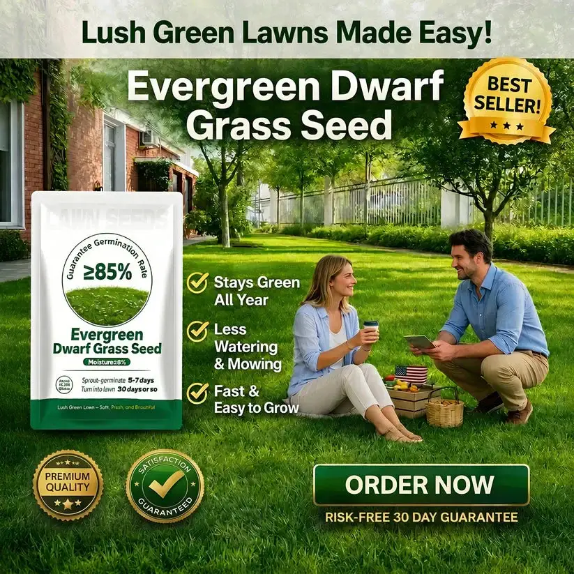 Slimoly® Evergreen Dwarf Grass Seed | For Four Seasons